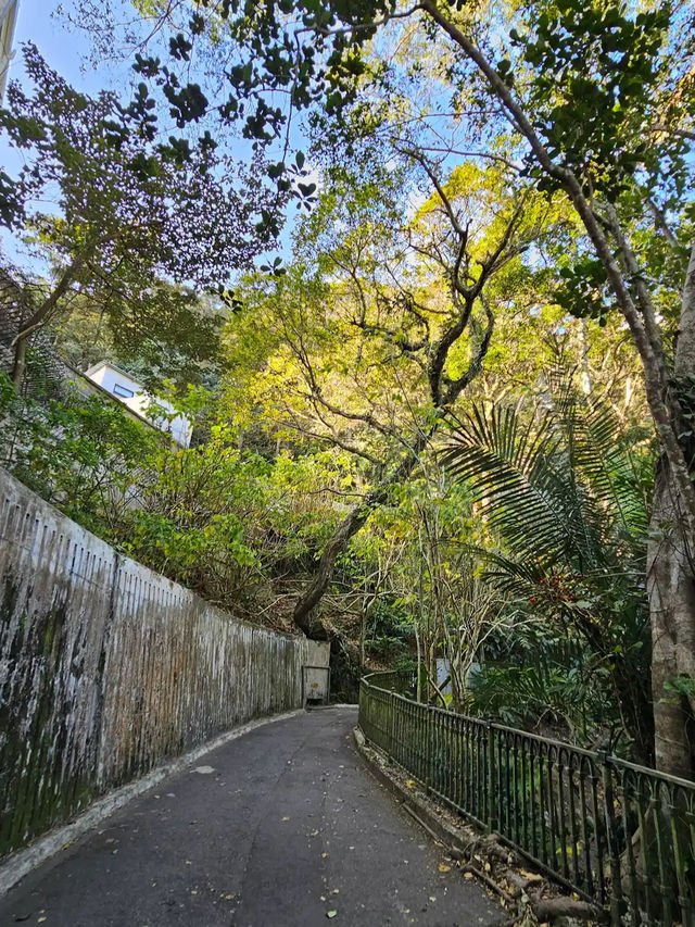 Lugard Road Lookout