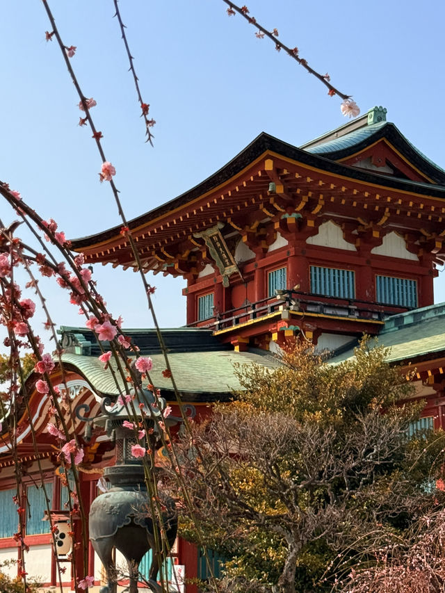 山口｜在防府天滿宮遇見達摩 最古老天滿宮遇見台灣賽錢箱