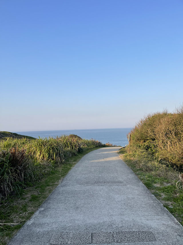 📍北海岸。老梅石槽｜海岸線的綠色浪漫