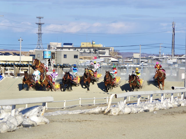 【北海道・帯広】観光としても楽しめる競馬場🏇