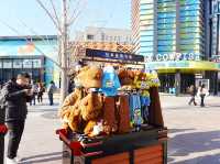 Universal Studio Beijing🎡