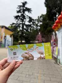 Kunming Zoo จุดชมดอกไม้บาน