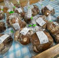 地風的採買店雜貨店 松の実