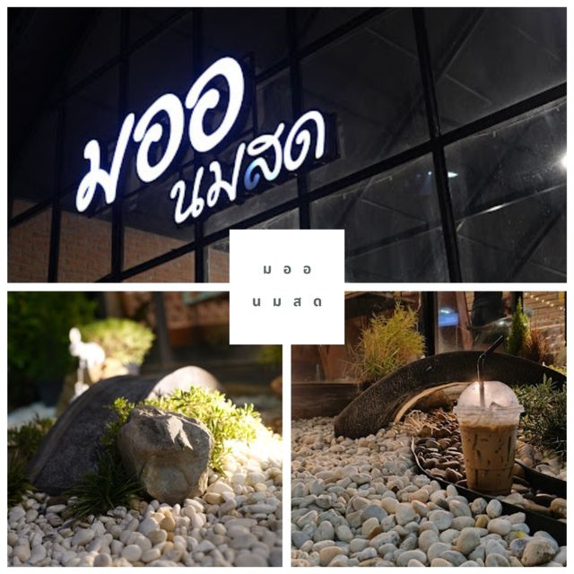 🍵 มออ นมสด