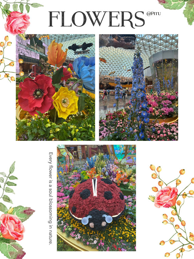美高梅春季植物園開幕🎊🏃‍♂️‍➡️