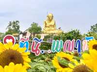 ชมดอกทานตะวัน ไหว้รูปเหมือนหลวงพ่อหมุน ตำบลพญาขัน