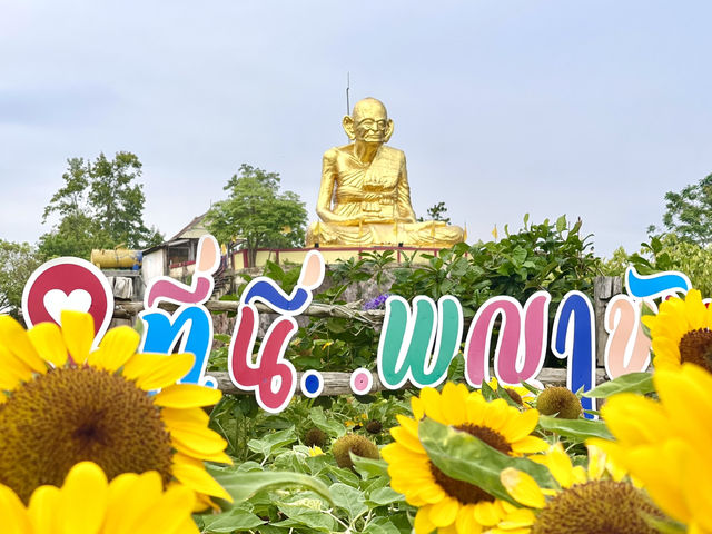 ชมดอกทานตะวัน ไหว้รูปเหมือนหลวงพ่อหมุน ตำบลพญาขัน