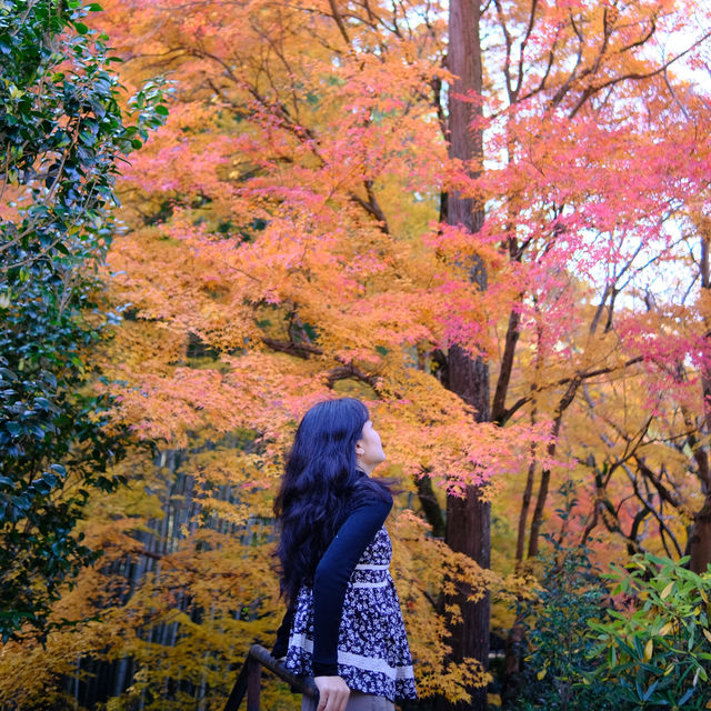 Kyoto không đông đúc - Enkouji Temple