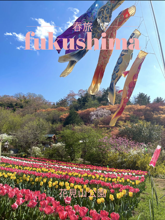 【福島×春旅】開花シーズン中はマイカー規制 シャトルバスで・・