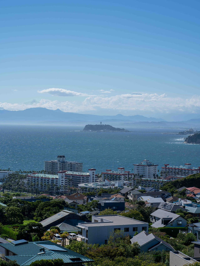 披露山公園🏞️ 逗子の絶景スポット