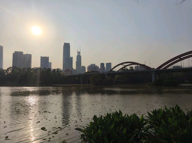 深圳其中一個最漂亮的大型荷花公園