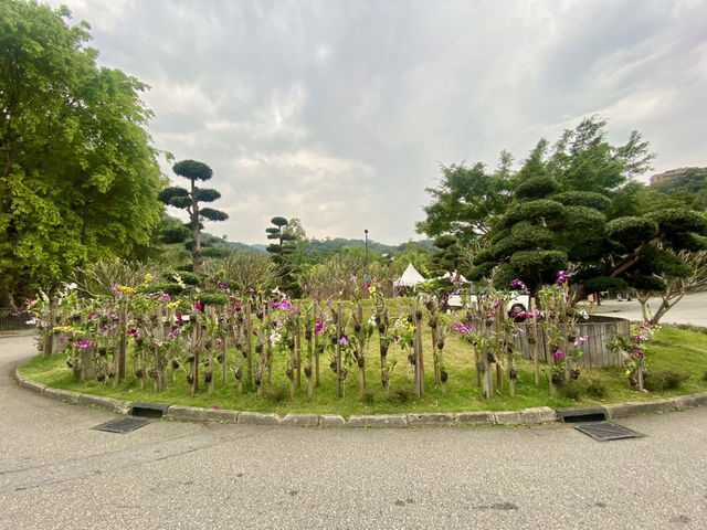 小白鷺餐廳✨🍽️浪漫與藝術的結合🏛️
