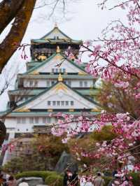 大阪城🌸