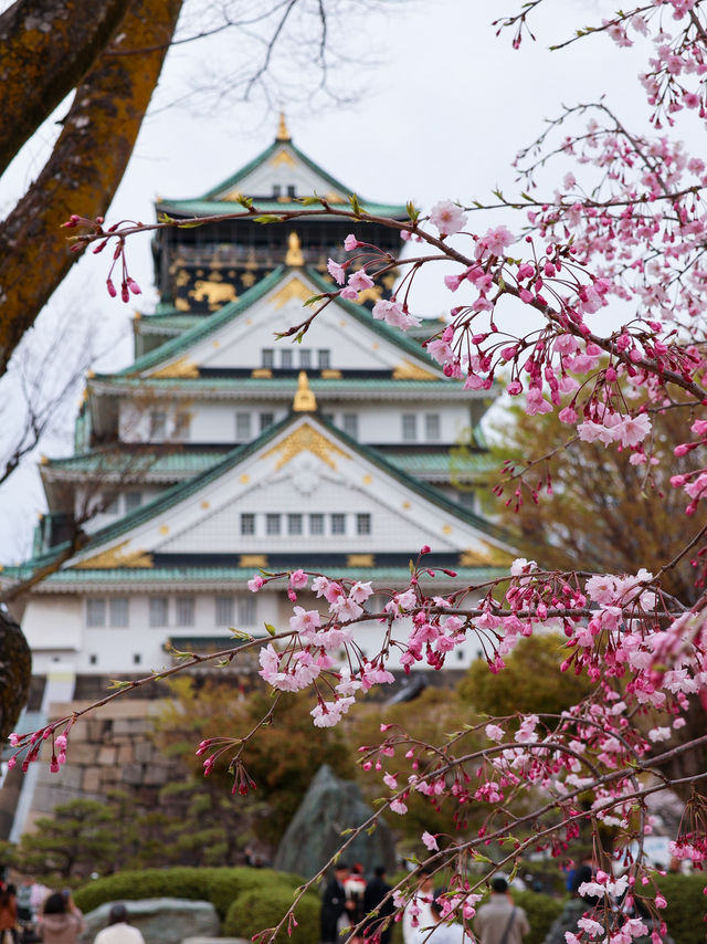 大阪城🌸