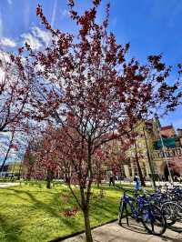 Whitworth Park, Manchester