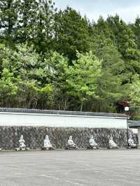 【福井×越前大仏】 越前大仏手前の門前町 廃墟化？