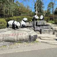 Panda Paradise: A Visit to Wolong Panda Base