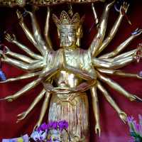 วัดหยวนทง ( Yuantong Temple )