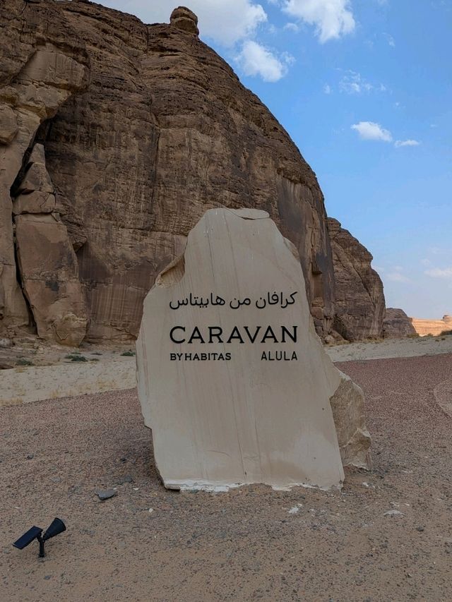 🇸🇦【穴場映え旅】行って良かった！サウジアラビア・アルウラ✨