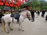 Sapa Fansipan Trip Review