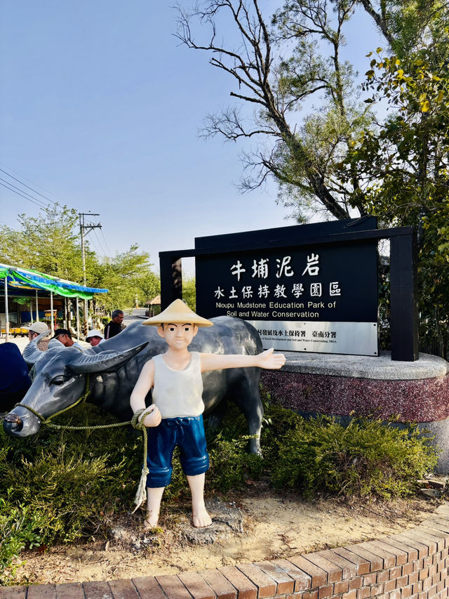 牛埔泥岩水土保持教學園區：從月世界到夢幻綠洲的奇幻旅程