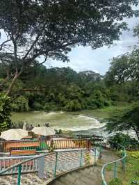 Bohol amazing day trip