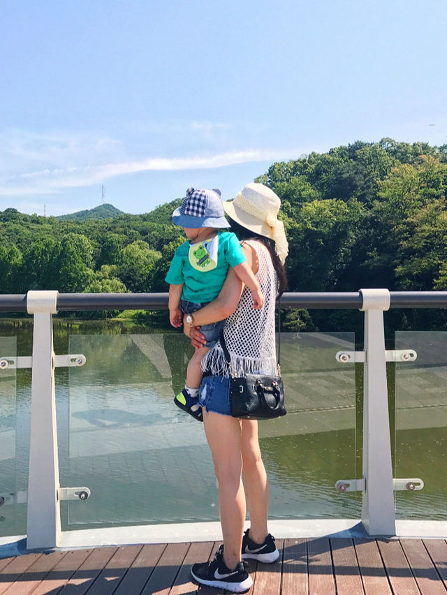 首爾景點｜Seoul Zoo 🦒🦩🦓