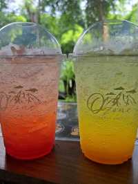 🏝🏝คาเฟ่สุดชิล ท่ามกลางธรรมชาติ☕️☕️