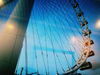 Sky-High Views: Experiencing the Singapore Flyer