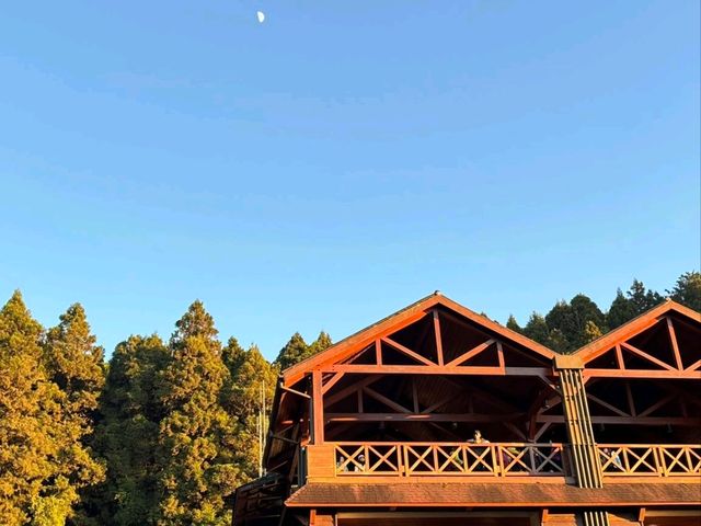 อาลีซาน 阿里山