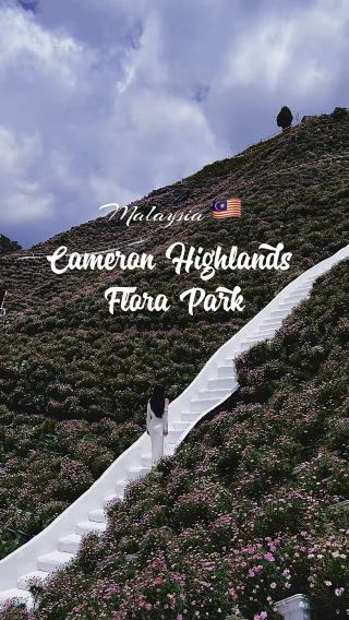 Cameron Highlands Flora Park in Malaysia 