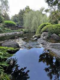 Mount Coottha Botanic garden 