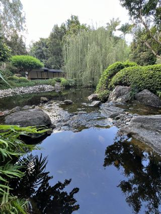Mount Coottha Botanic garden 