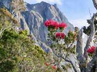 My Journey to Kota Kinabalu: A Slice of Borneo’s Magic