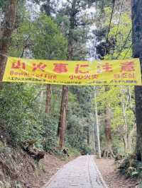Cherry Blossoms, Tengu Legends & Scenic Trails – Springtime Magic on Mount Takao!