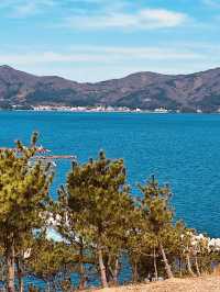 Windy Hill: A Breath of Fresh Spring Air in Geoje 🌬️🌸 