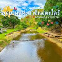 ขาจุ่มน้ำ☕️จิบกาแฟที่อุทยานแห่งชาติแม่ตะไคร้ 