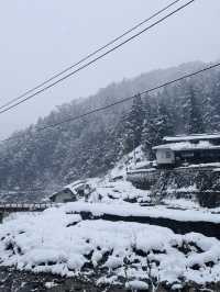 Hot Springs & Snowy Tales: Meeting Japan’s Snow Monkeys