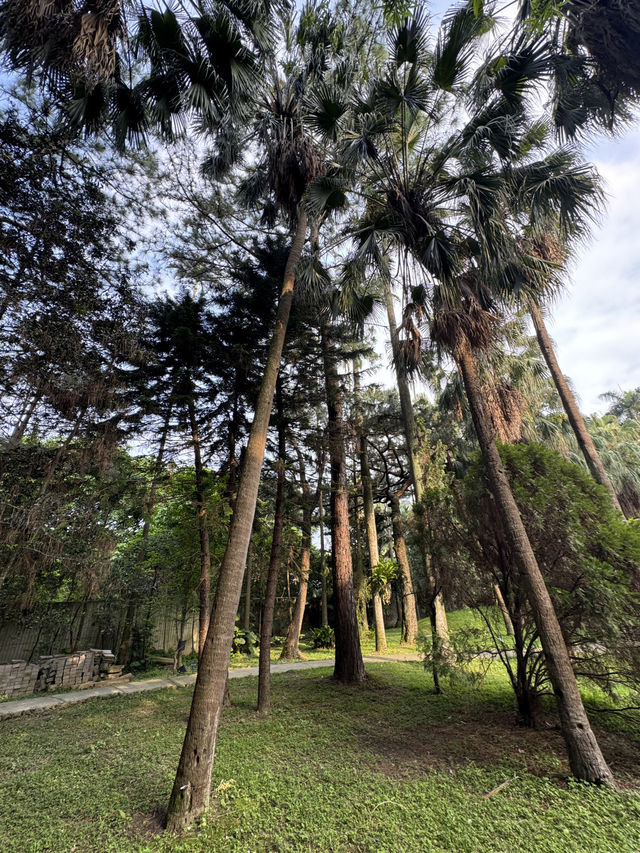 台北｜臺北植物園｜綠意盎然的城市綠洲