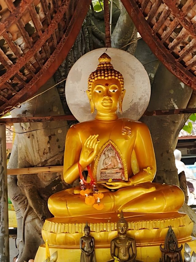 💯 พระธาตุโพนจิกเวียงงัว