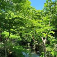 大井中央公園·日式夢幻