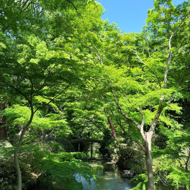 大井中央公園·日式夢幻