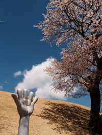 Sculptures in Bloom: Springtime at Hakone Open-Air Museum