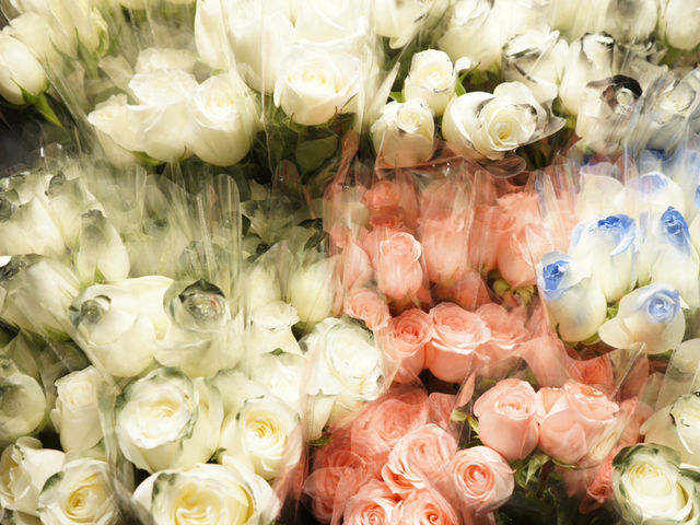 ร้านดอกไม้ บนถนนเปิ่งจิงหลู สวยงามน่าซื้อ