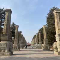 13-day Tour of Shanghai, Dezhou, Beijing, and More