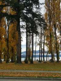 That Wanaka Tree - the lonely creature in the lake
