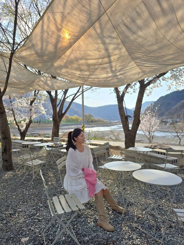 밀양 벚꽃카페 탑티어는 여기🌸