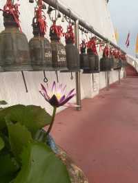 ชวนมาดูพระอาทิตย์ตกและไหว้พระกัน ที่วัดภูเขาทอง