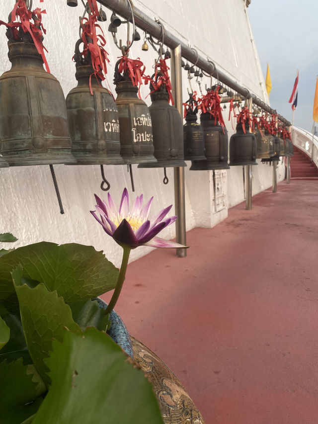 ชวนมาดูพระอาทิตย์ตกและไหว้พระกัน ที่วัดภูเขาทอง