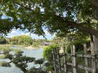 岡山後楽園